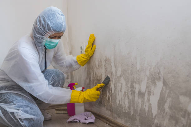 Mold Remediation for Vacation Homes in Dell Rapids, SD